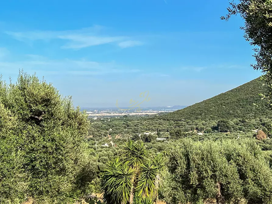 Immagine 5 di Baita in vendita  in C.da Torchiano a Monopoli