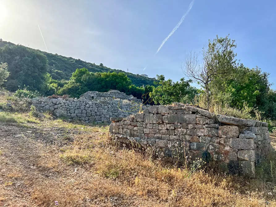 Immagine 7 di Baita in vendita  in C.da Torchiano a Monopoli