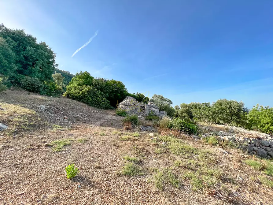 Immagine 9 di Baita in vendita  in C.da Torchiano a Monopoli