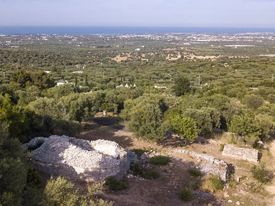 Immagine 10 di Baita in vendita  in C.da Torchiano a Monopoli