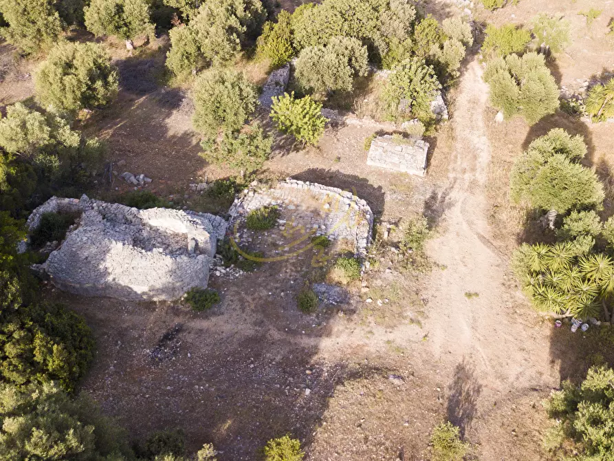 Immagine 11 di Baita in vendita  in C.da Torchiano a Monopoli