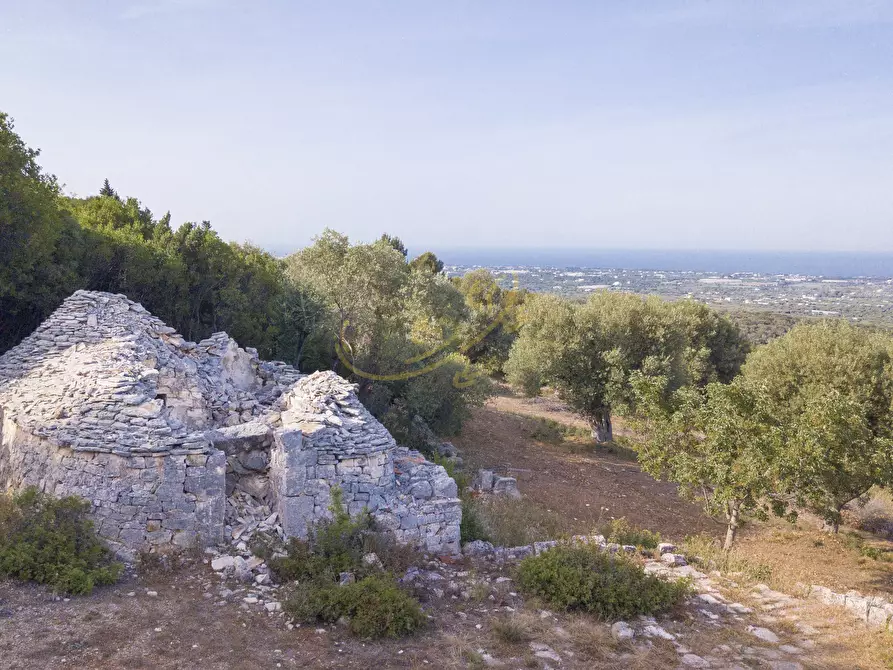 Immagine 12 di Baita in vendita  in C.da Torchiano a Monopoli