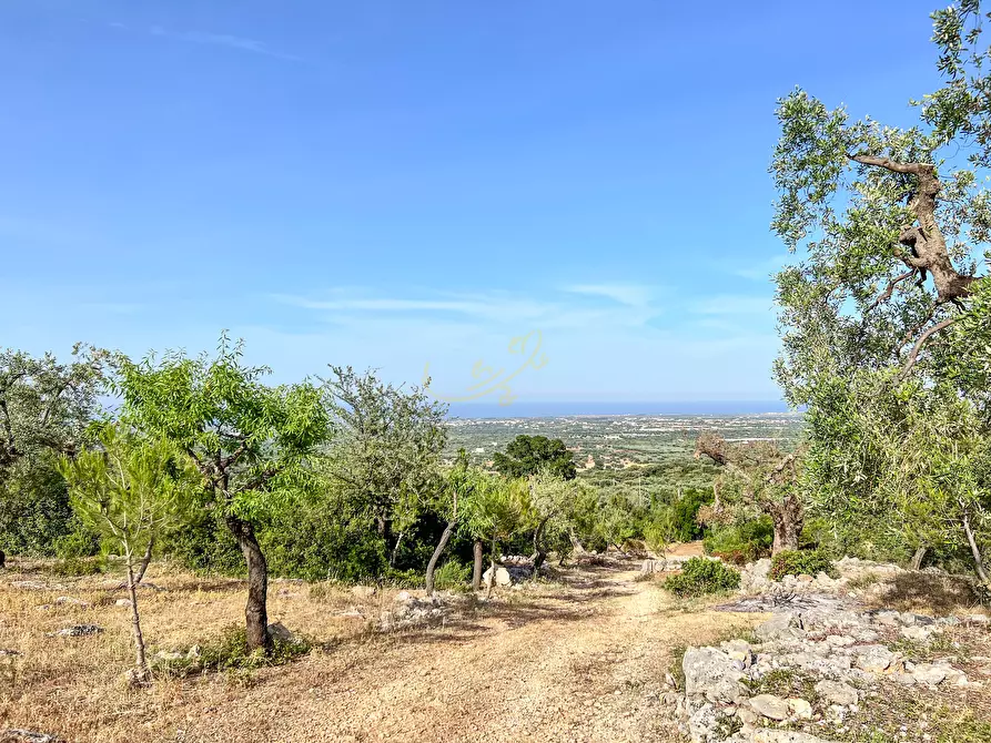 Immagine 13 di Baita in vendita  in C.da Torchiano a Monopoli
