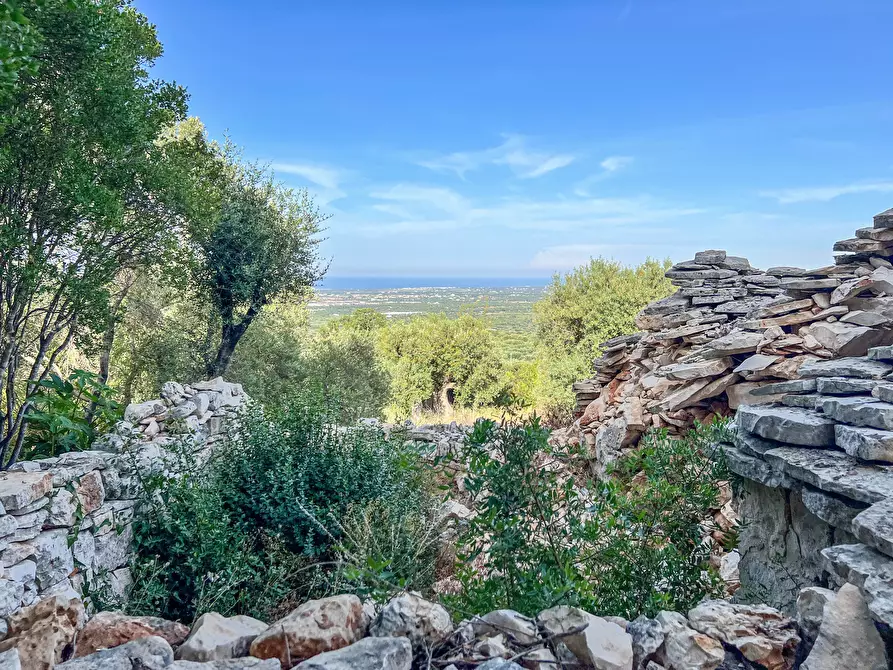 Immagine 15 di Baita in vendita  in C.da Torchiano a Monopoli