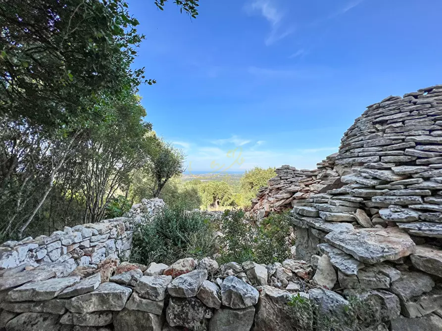 Immagine 16 di Baita in vendita  in C.da Torchiano a Monopoli