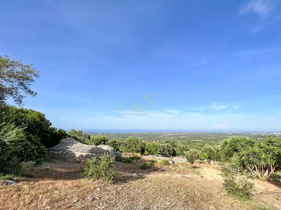 Immagine 17 di Baita in vendita  in C.da Torchiano a Monopoli