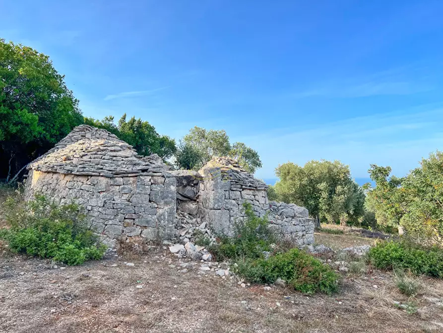 Immagine 18 di Baita in vendita  in C.da Torchiano a Monopoli