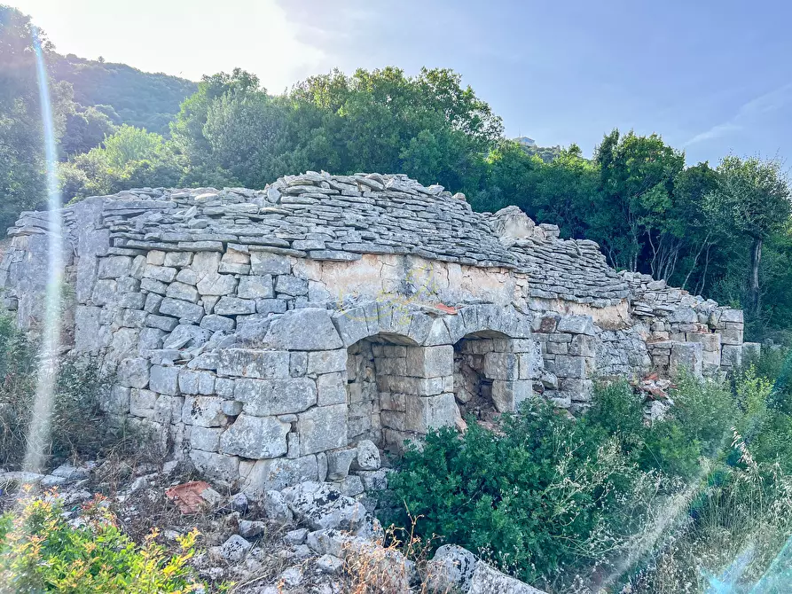 Immagine 19 di Baita in vendita  in C.da Torchiano a Monopoli