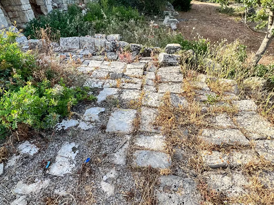 Immagine 20 di Baita in vendita  in C.da Torchiano a Monopoli