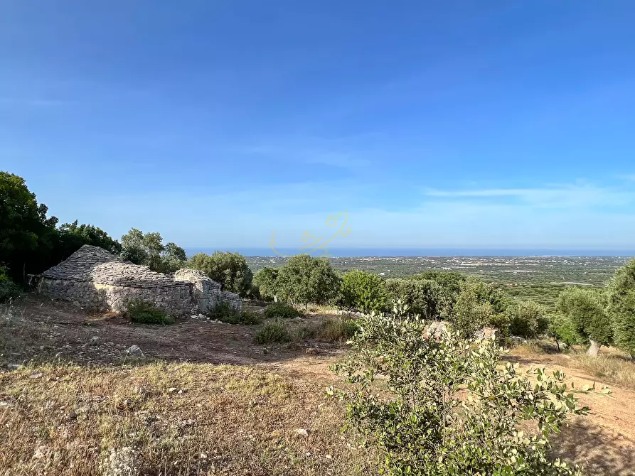 Immagine 21 di Baita in vendita  in C.da Torchiano a Monopoli