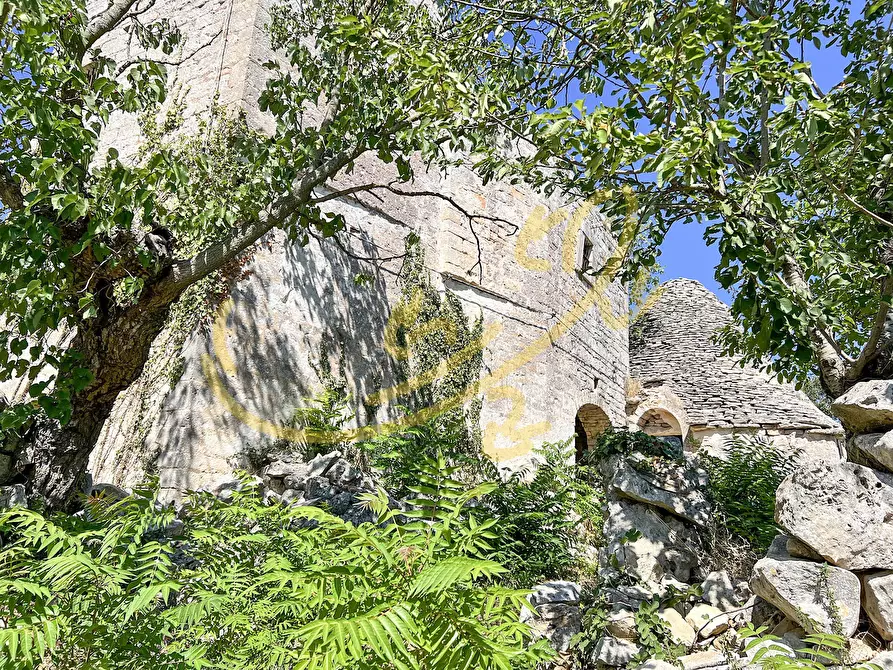 Immagine 13 di Rustico / casale in vendita  in C.da Bosco Selva a Alberobello