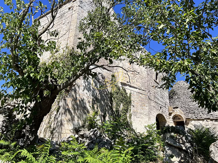 Immagine 14 di Rustico / casale in vendita  in C.da Bosco Selva a Alberobello