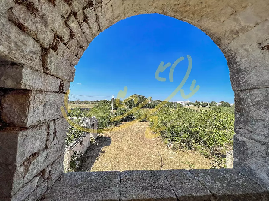 Immagine 23 di Rustico / casale in vendita  in C.da Bosco Selva a Alberobello