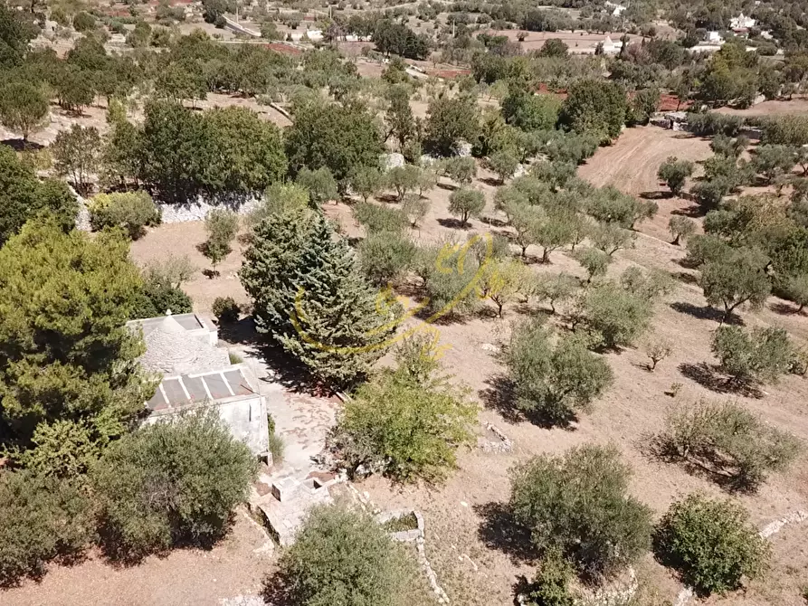 Immagine 2 di Baita in vendita  in C.da Bosco Selva a Alberobello