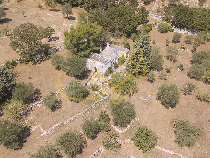 Immagine 3 di Baita in vendita  in C.da Bosco Selva a Alberobello