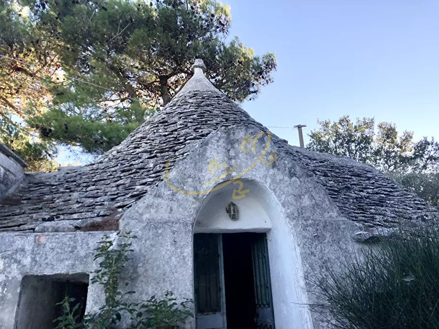 Immagine 8 di Baita in vendita  in C.da Bosco Selva a Alberobello