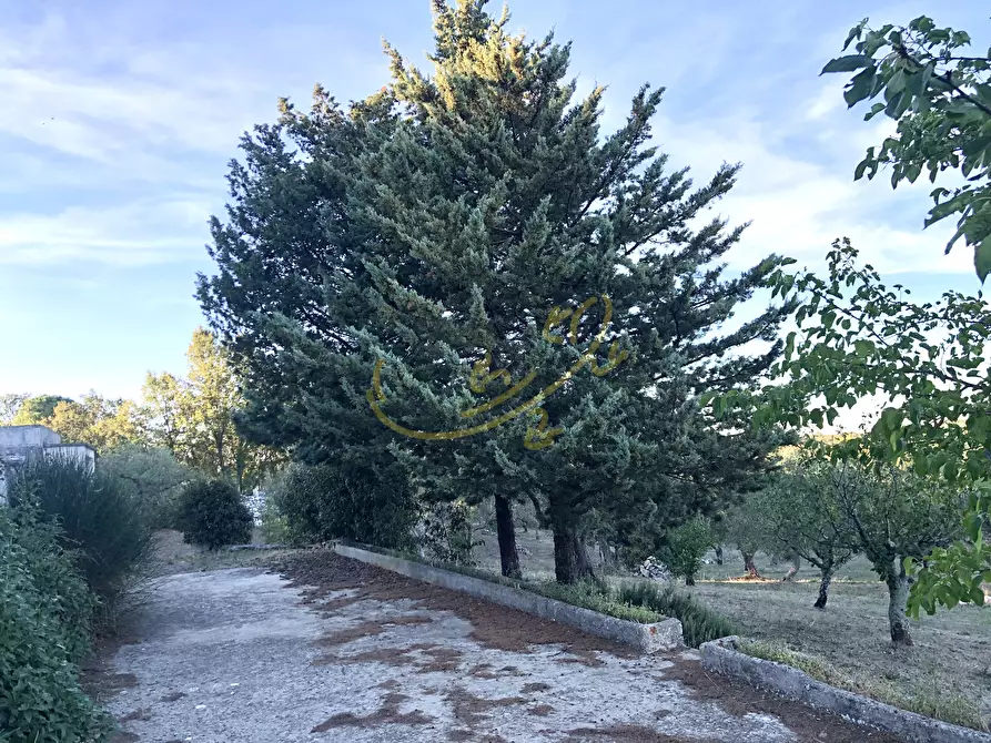 Immagine 9 di Baita in vendita  in C.da Bosco Selva a Alberobello