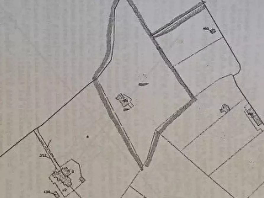 Immagine 10 di Baita in vendita  in C.da Bosco Selva a Alberobello