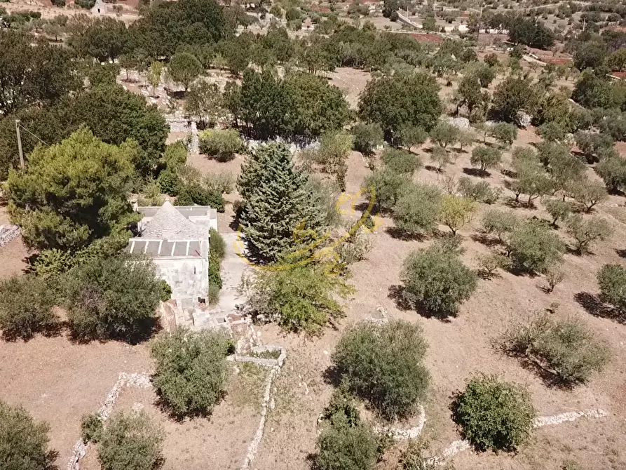 Immagine 11 di Baita in vendita  in C.da Bosco Selva a Alberobello