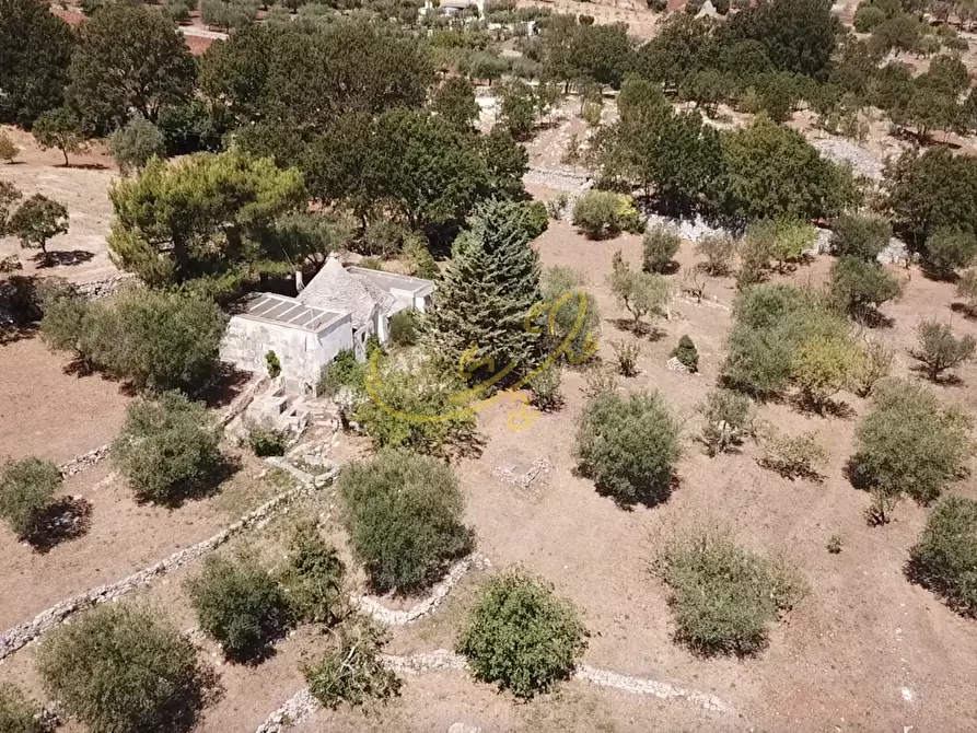 Immagine 12 di Baita in vendita  in C.da Bosco Selva a Alberobello