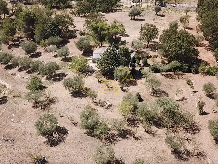 Immagine 13 di Baita in vendita  in C.da Bosco Selva a Alberobello
