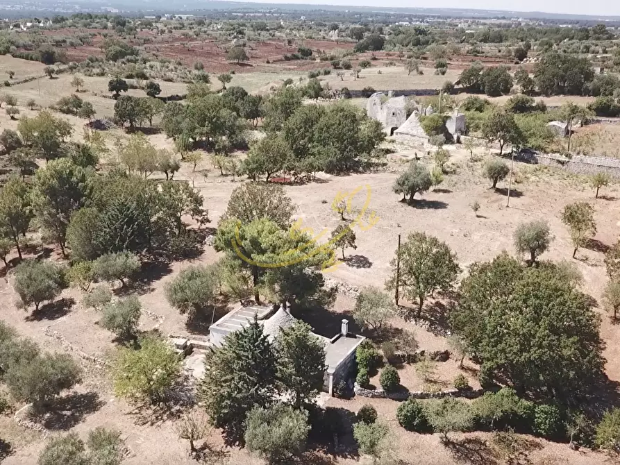 Immagine 14 di Baita in vendita  in C.da Bosco Selva a Alberobello