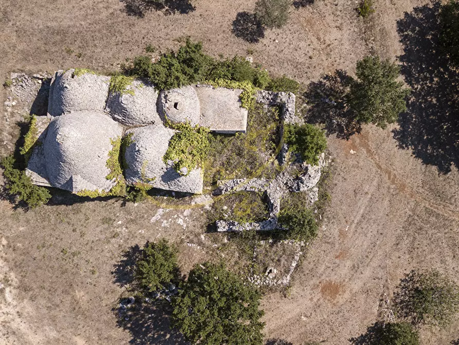 Immagine 31 di Baita in vendita  in c.da Capitolo Colucci a Alberobello