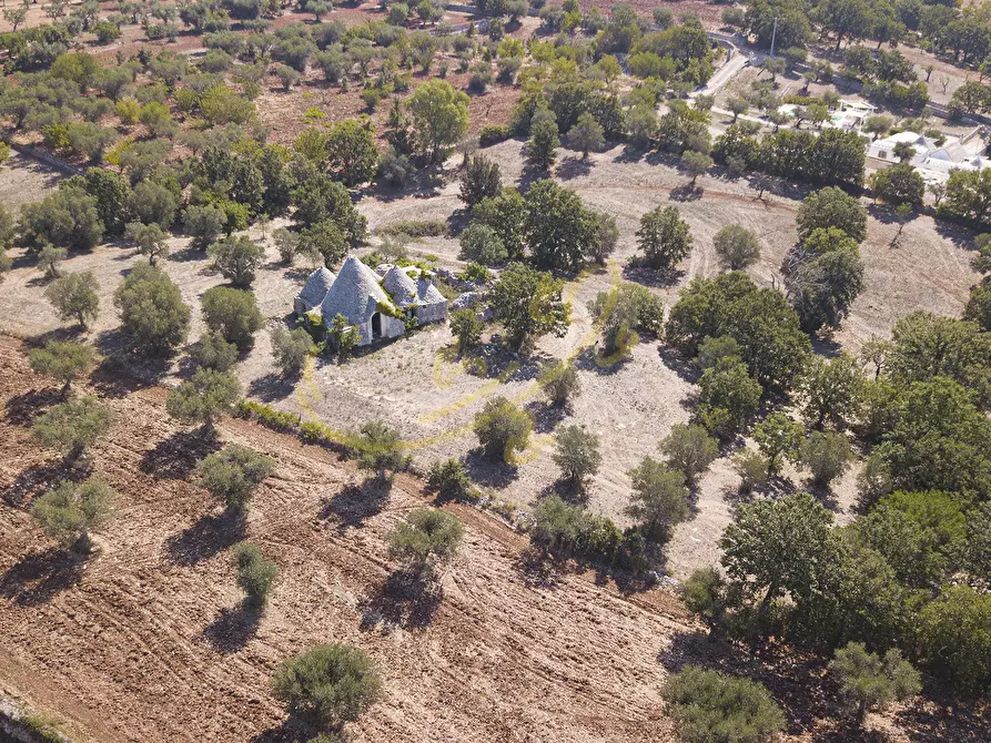 Immagine 35 di Baita in vendita  in c.da Capitolo Colucci a Alberobello