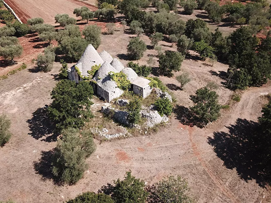 Immagine 34 di Baita in vendita  in c.da Capitolo Colucci a Alberobello