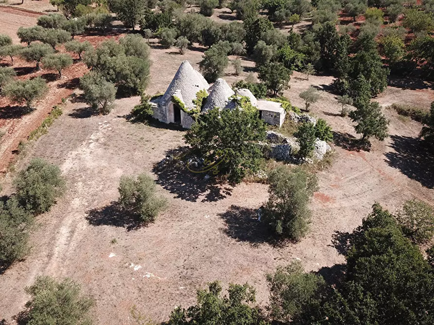 Immagine 36 di Baita in vendita  in c.da Capitolo Colucci a Alberobello