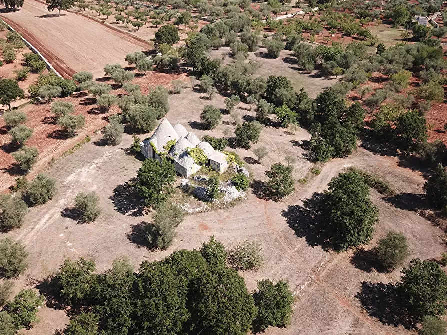 Immagine 37 di Baita in vendita  in c.da Capitolo Colucci a Alberobello