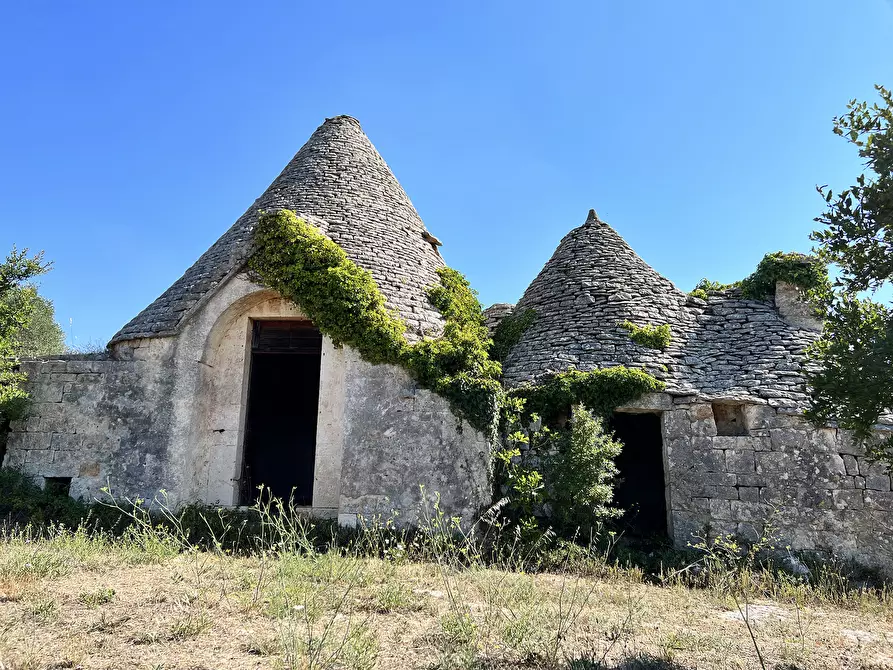 Immagine 38 di Baita in vendita  in c.da Capitolo Colucci a Alberobello