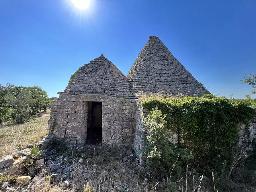 Immagine 40 di Baita in vendita  in c.da Capitolo Colucci a Alberobello