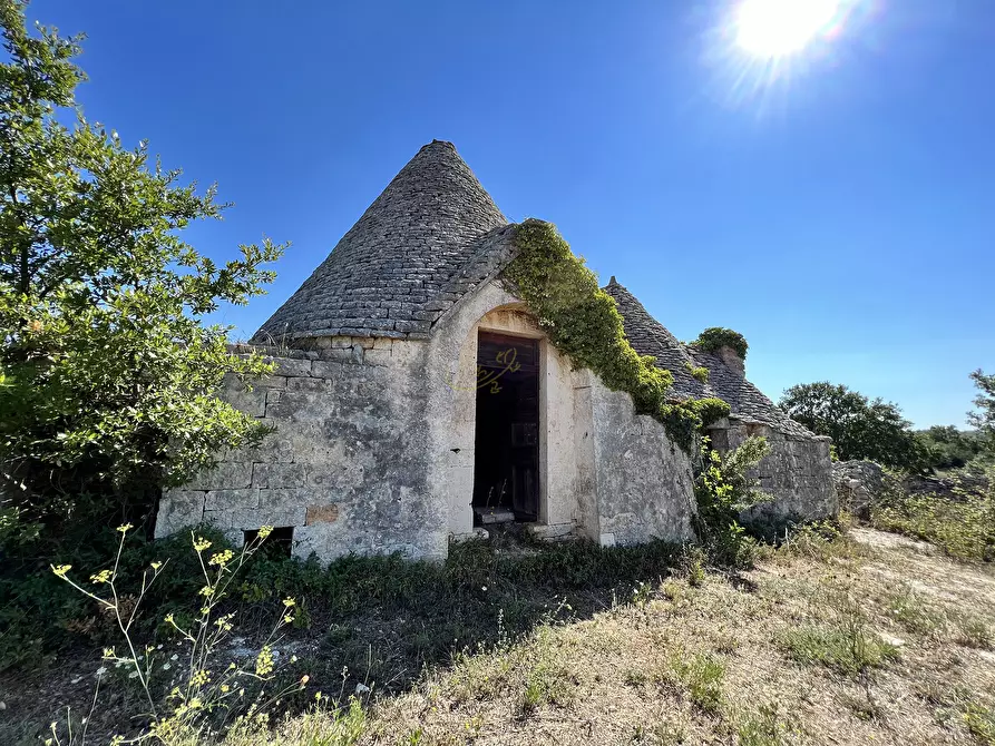 Immagine 39 di Baita in vendita  in c.da Capitolo Colucci a Alberobello