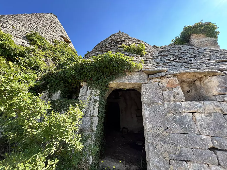 Immagine 41 di Baita in vendita  in c.da Capitolo Colucci a Alberobello