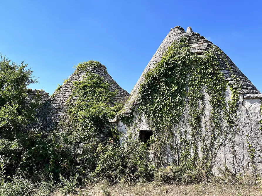 Immagine 42 di Baita in vendita  in c.da Capitolo Colucci a Alberobello