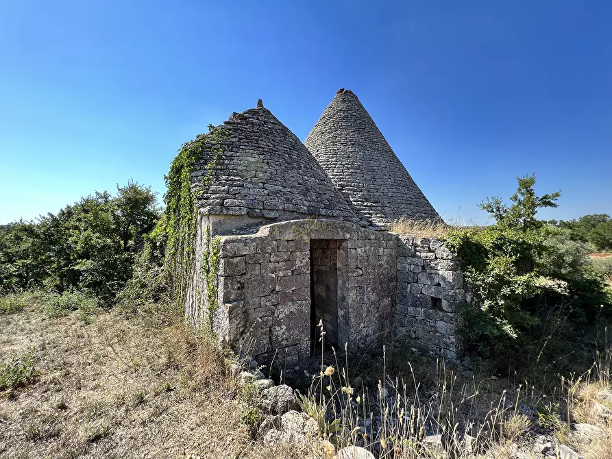 Immagine 43 di Baita in vendita  in c.da Capitolo Colucci a Alberobello