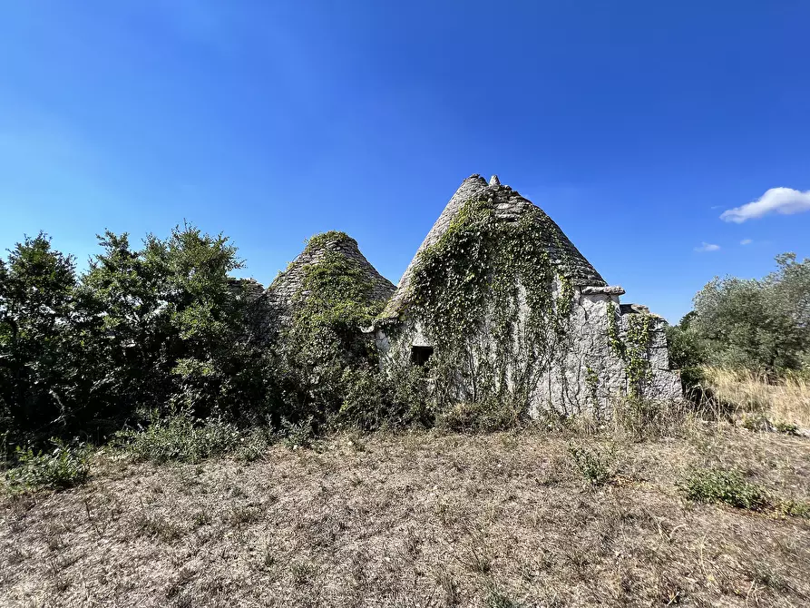 Immagine 44 di Baita in vendita  in c.da Capitolo Colucci a Alberobello