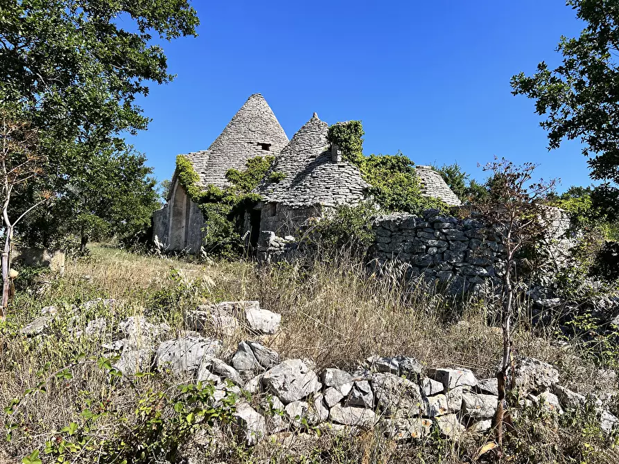 Immagine 45 di Baita in vendita  in c.da Capitolo Colucci a Alberobello