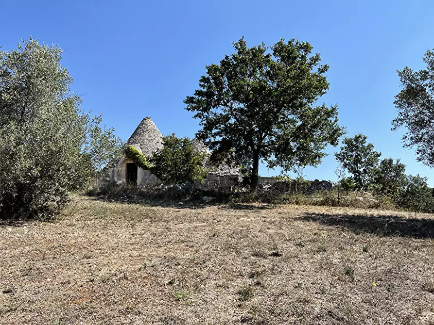 Immagine 46 di Baita in vendita  in c.da Capitolo Colucci a Alberobello