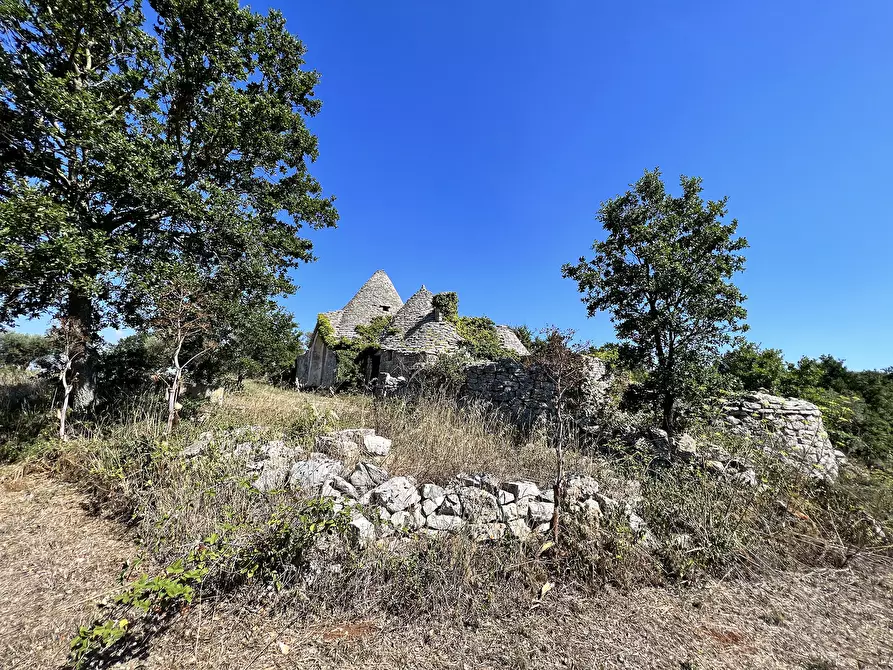 Immagine 47 di Baita in vendita  in c.da Capitolo Colucci a Alberobello