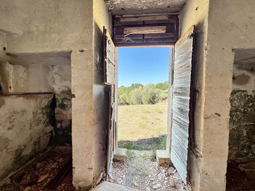 Immagine 48 di Baita in vendita  in c.da Capitolo Colucci a Alberobello