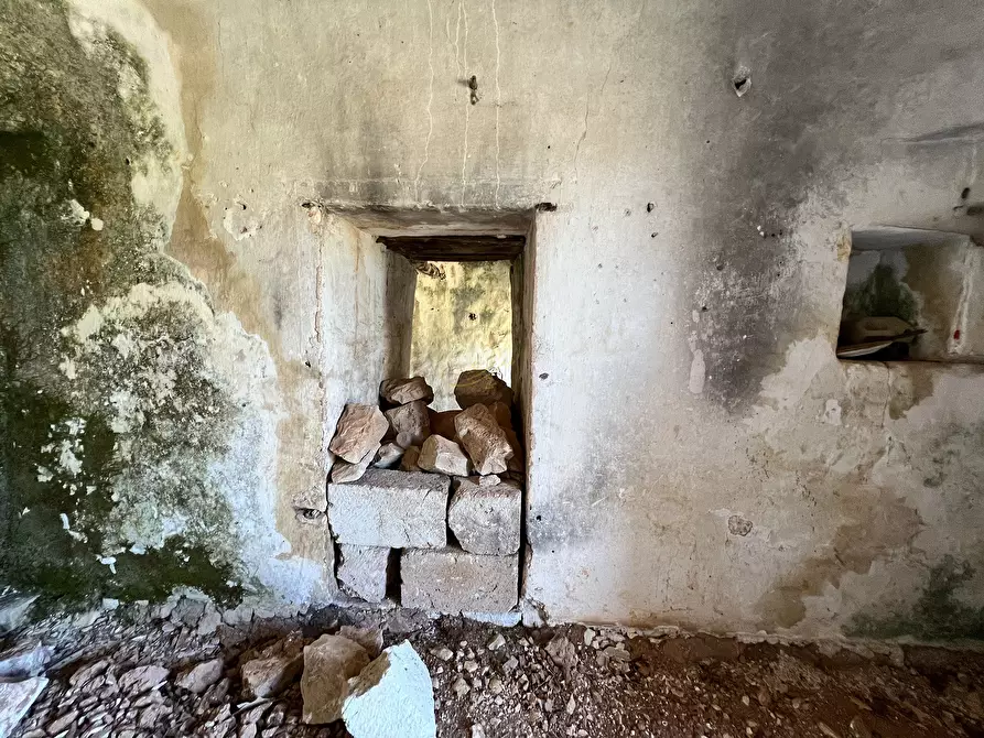 Immagine 50 di Baita in vendita  in c.da Capitolo Colucci a Alberobello