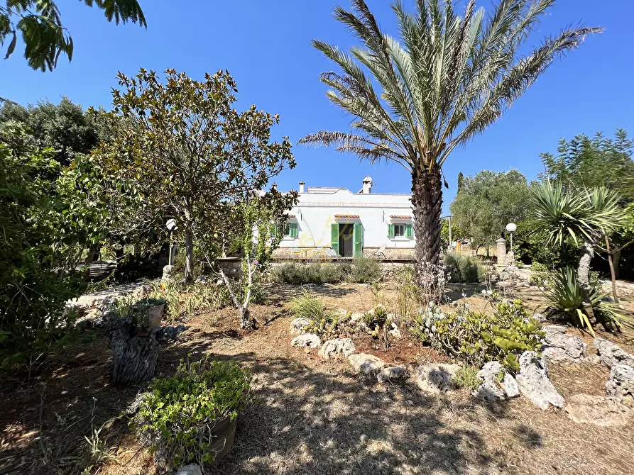 Immagine 3 di Rustico / casale in vendita  in Strada Provinciale 27 a Ceglie Messapico