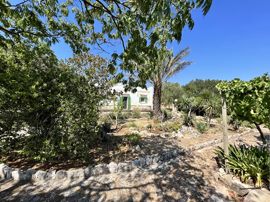Immagine 6 di Rustico / casale in vendita  in Strada Provinciale 27 a Ceglie Messapico