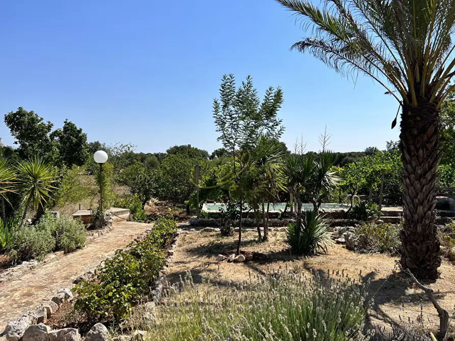 Immagine 8 di Rustico / casale in vendita  in Strada Provinciale 27 a Ceglie Messapico