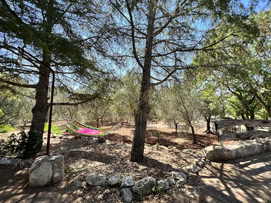 Immagine 9 di Rustico / casale in vendita  in Strada Provinciale 27 a Ceglie Messapico