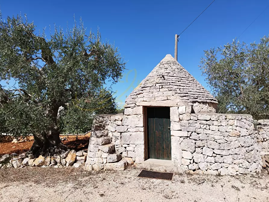 Immagine 14 di Villa in vendita  in C.da Pascarosa a Ostuni