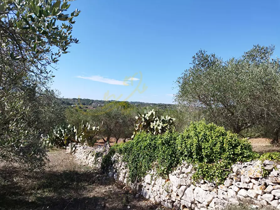 Immagine 17 di Villa in vendita  in C.da Pascarosa a Ostuni