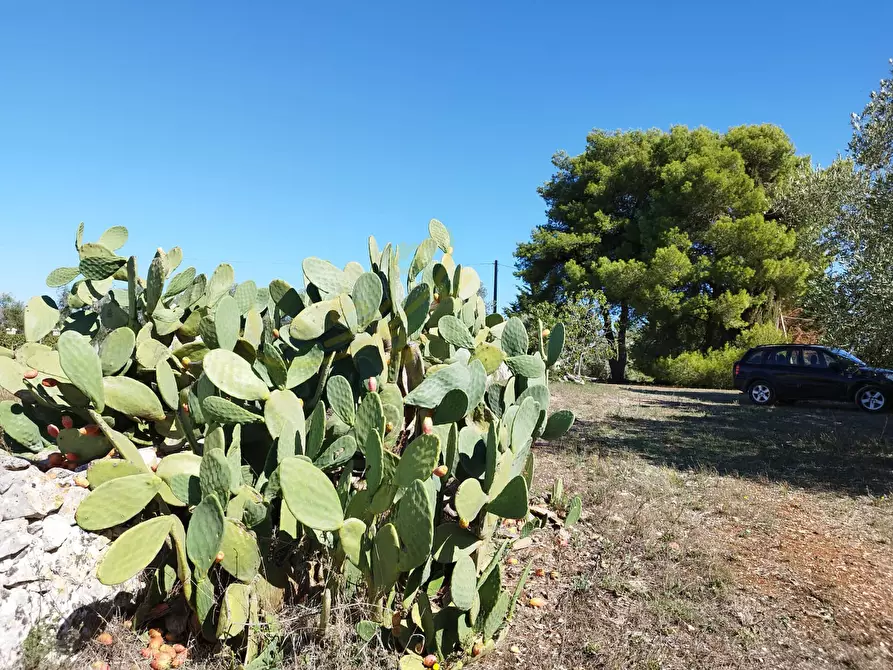 Immagine 16 di Villa in vendita  in C.da Pascarosa a Ostuni